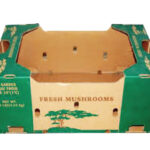 Mushrooms Packaging