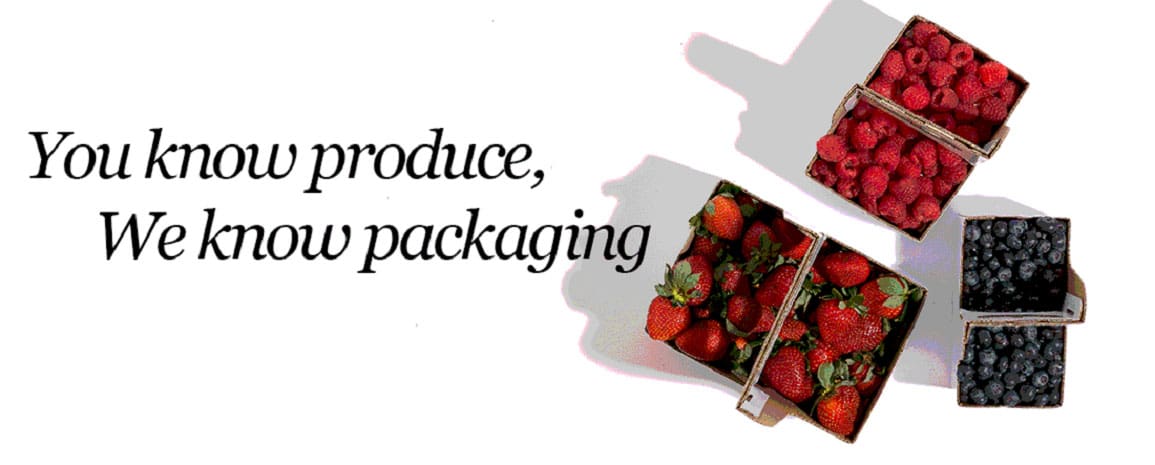 Custom Packaging Solutions