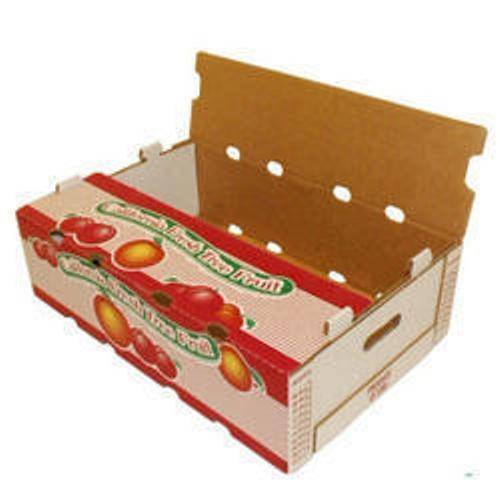 Food packaging Solution