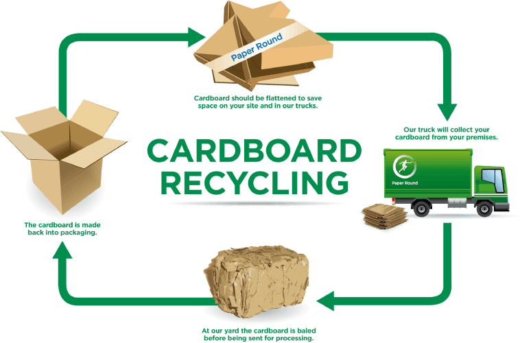 cardboard sustainability