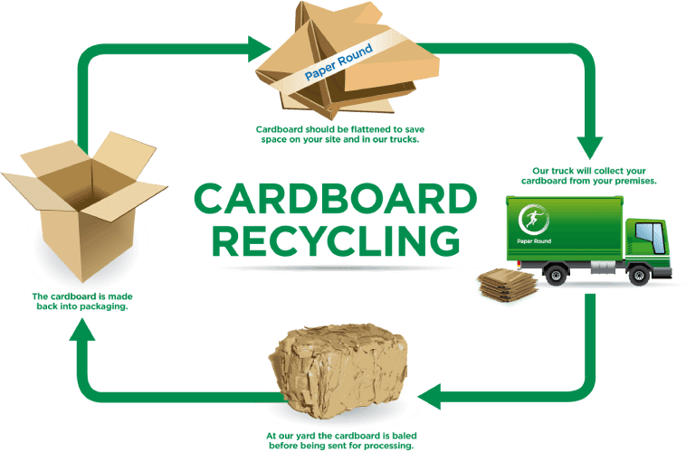 Sustainable Packaging Solutions BC Box Manufacturing