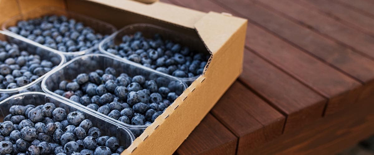 Blueberry packaging solutions by BC Box Manufacturing Ltd. Custom blueberry packaging boxes in Surrey, BC