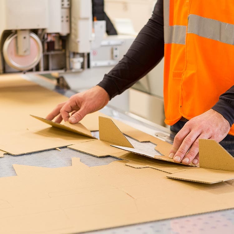 Custom corrugated packaging Delta.