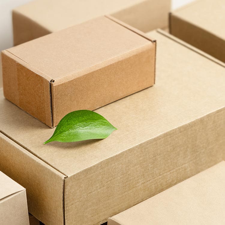 Eco packaging New Westminster cardboard boxes.