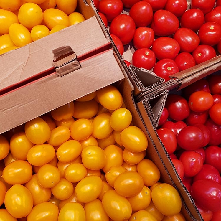 Corrugated produce boxes Lethbridge