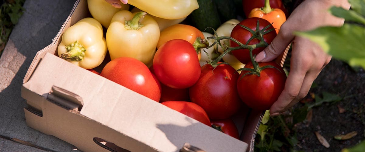 Custom carton boxes for Abbotsford farms.