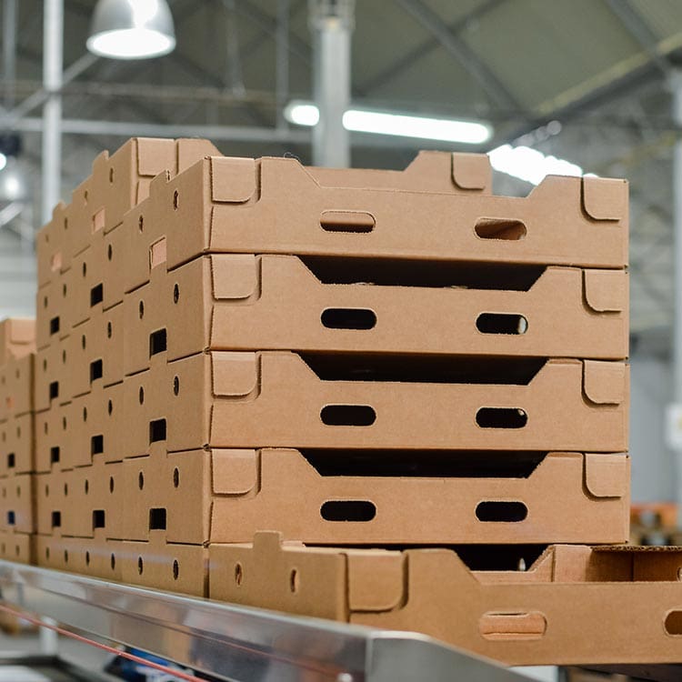 custom corrugated boxes Chilliwack