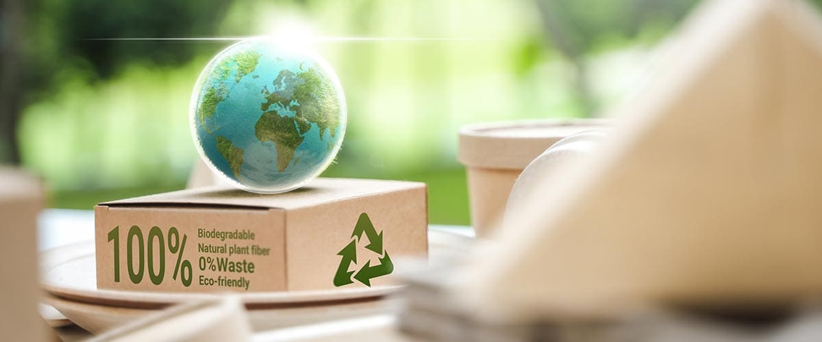 Sustainable corrugated packaging BC