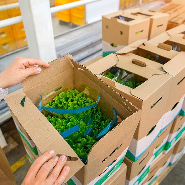 Greenhouse packaging BC