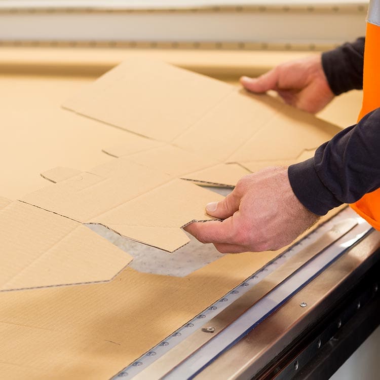 Structural corrugated box design in BC